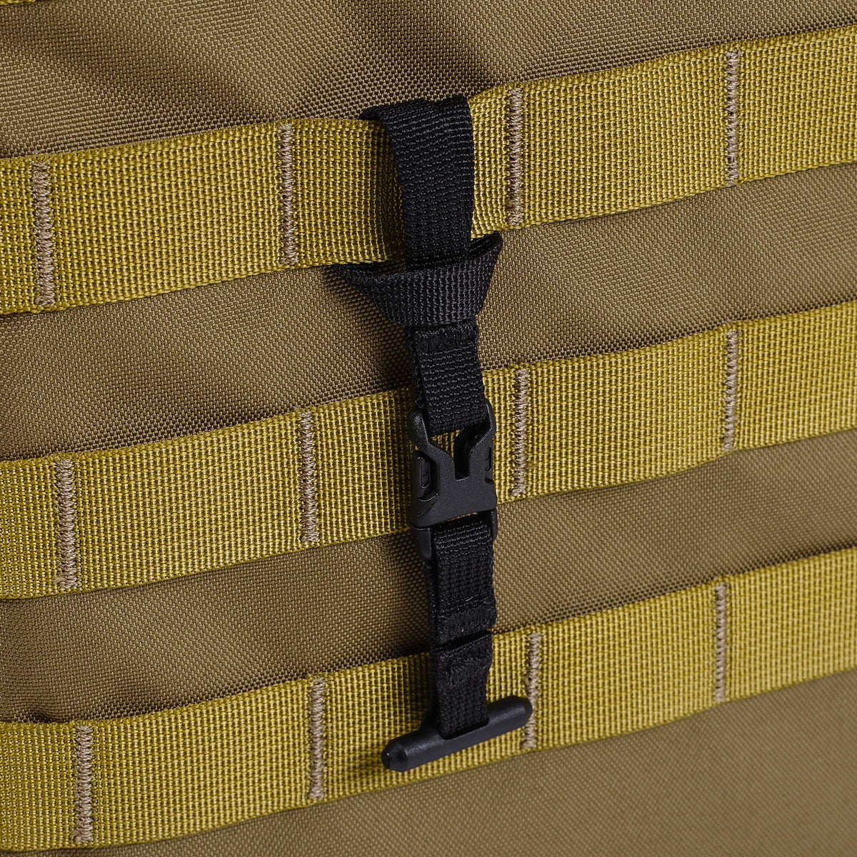 Coyote Tan